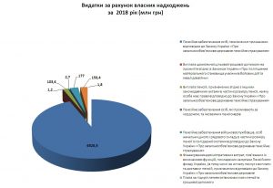 Vydatky vlasni 300x206 - Видатки за рахунок власних надходжень за 2018 рік