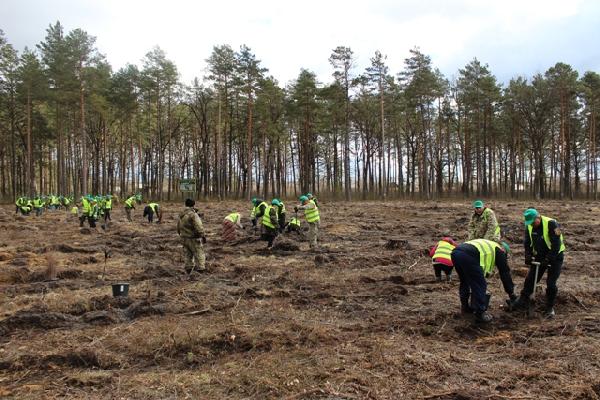 aktsiya 22 03 19 4 - Лісові скарби примножують  на Чернігівщині
