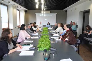 photo 5217450641561687574 y 300x200 - Питання виплат пенсій, субсидій та ідентифікації розглянули на засіданні Координаційної ради з питань ВПО в Ужгороді