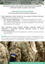 Умови призначення пенсії в разі втрати годувальника членам сімей загиблих (померлих) військових 8 147x208 - Умови призначення пенсії в разі втрати годувальника членам сімей загиблих (померлих) військових