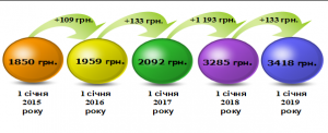 2 300x122 - Звіт про результати роботи головного управління Пенсійного фонду України в Донецькій області за 2018 рік