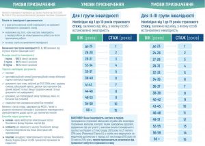 Пенсія по інвалідності відповідно до Закону України від 09 липня 2003 року № 1058-IV «Про загальнообов'язкове державне пенсійне страхування» 742832126 926350720491474 3768548026888184267 n 300x213 - Пенсія по інвалідності відповідно до Закону України від 09 липня 2003 року № 1058-IV «Про загальнообов'язкове державне пенсійне страхування»