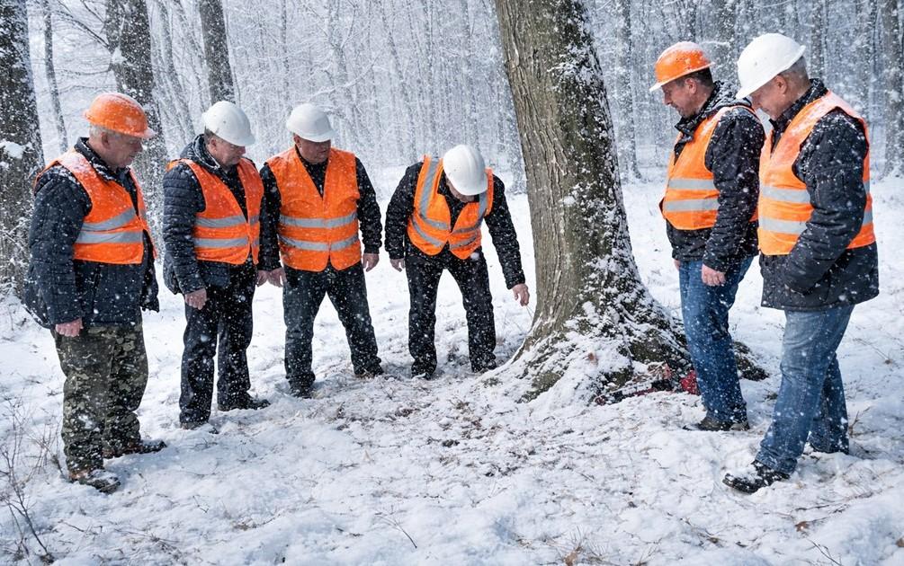 Робоча зустріч у ДП “Бережанирайагроліс” photo 5424851511319137686 y - Робоча зустріч у ДП “Бережанирайагроліс”