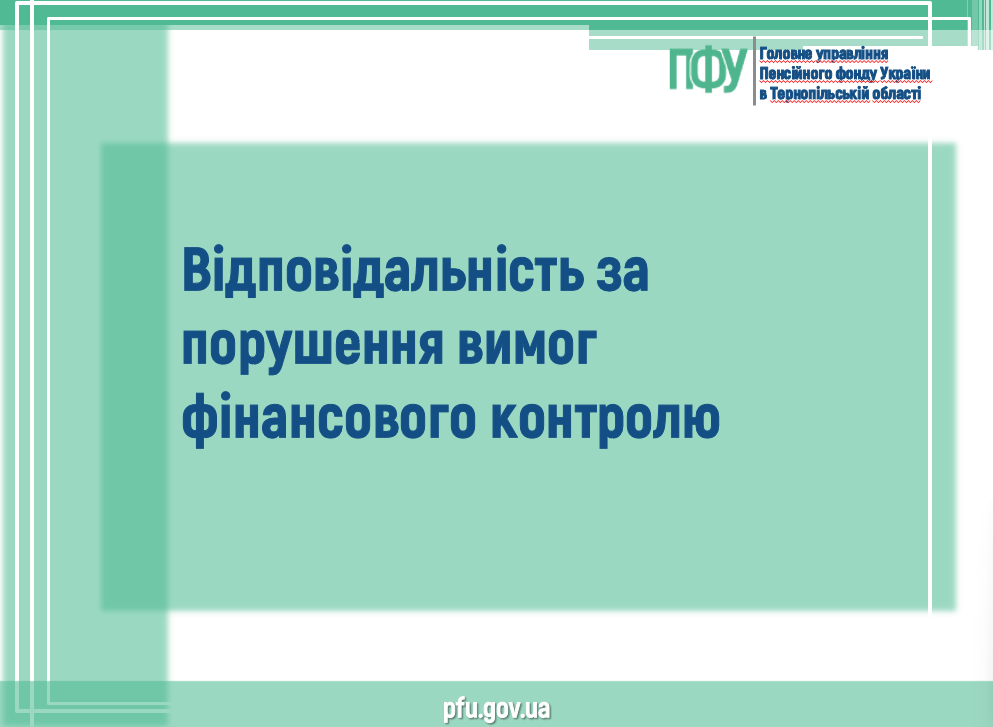 Vidpovidalnist za porushennya vymog finansovogo kontrolyu - Відповідальність за порушення вимог фінансового контролю