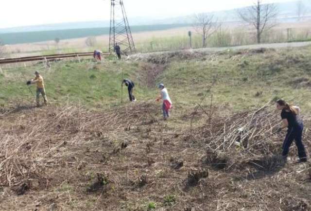 prybyrannya kitsm - Пенсійники Буковини взяли участь у генеральному весняному прибиранні